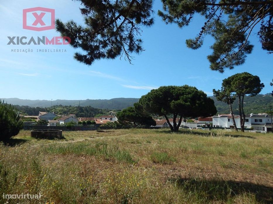 Pip Aprovado - Colares