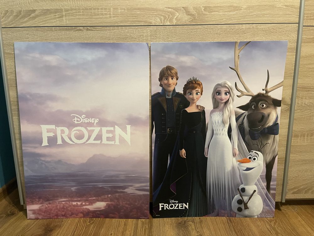 Disney FROZEN plakat tekturowy