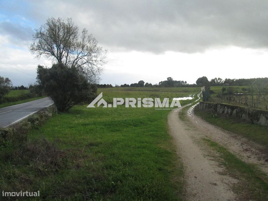 Terreno Rústico à Venda na Lardosa