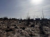 Продається земельна ділянка в Зарванцях