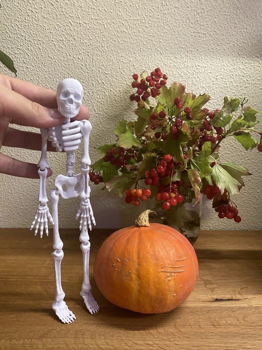 Рухомий скелет 23 см