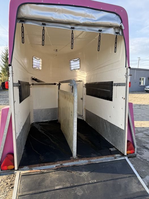 BOECKMANN Maro  selandia przyczepa do koni