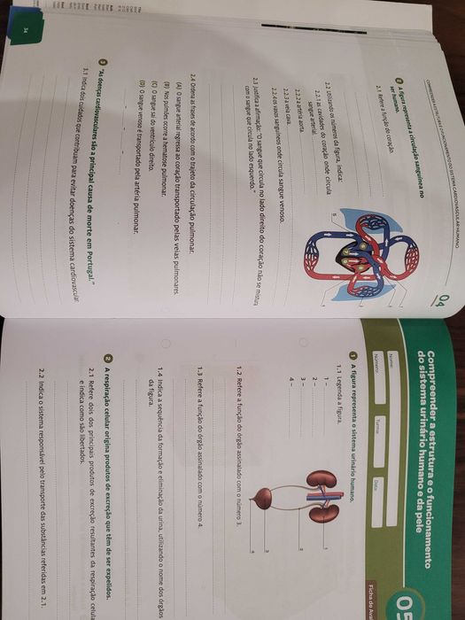 Bios Ciências Naturais 6° Ano Caderno do Aluno ASA/Leya Editora