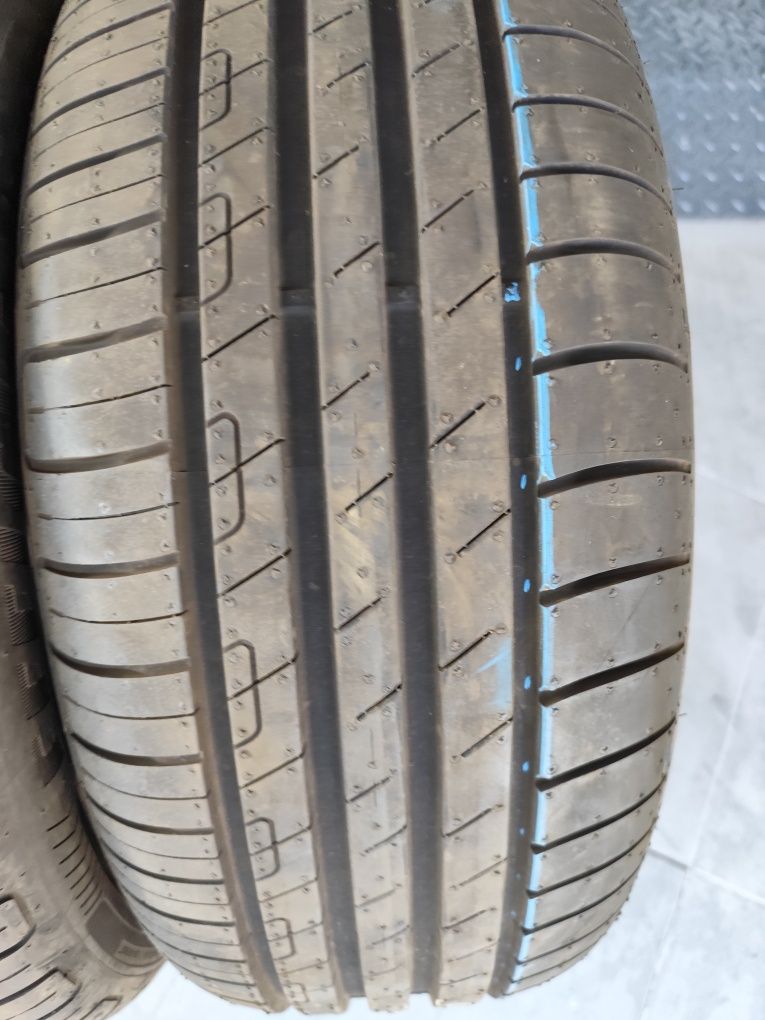 Pneus 225/55r17 Goodyear EfficientGrip Performance 90% piso