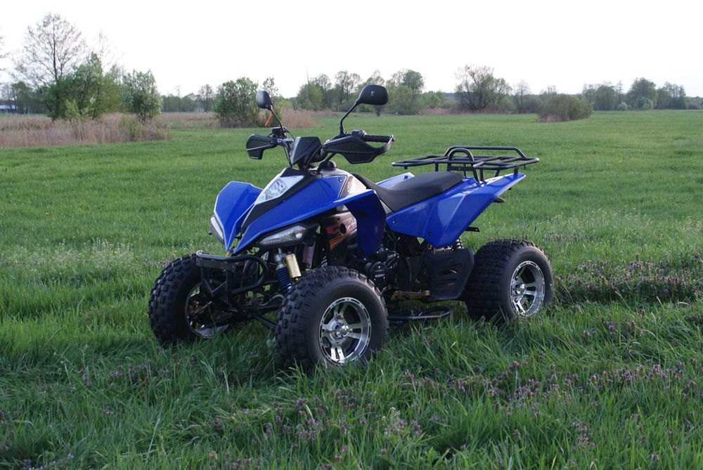 Quad Bashan 250AS-43