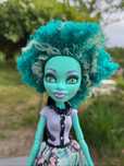 Lalka Honey Swamp Monster High