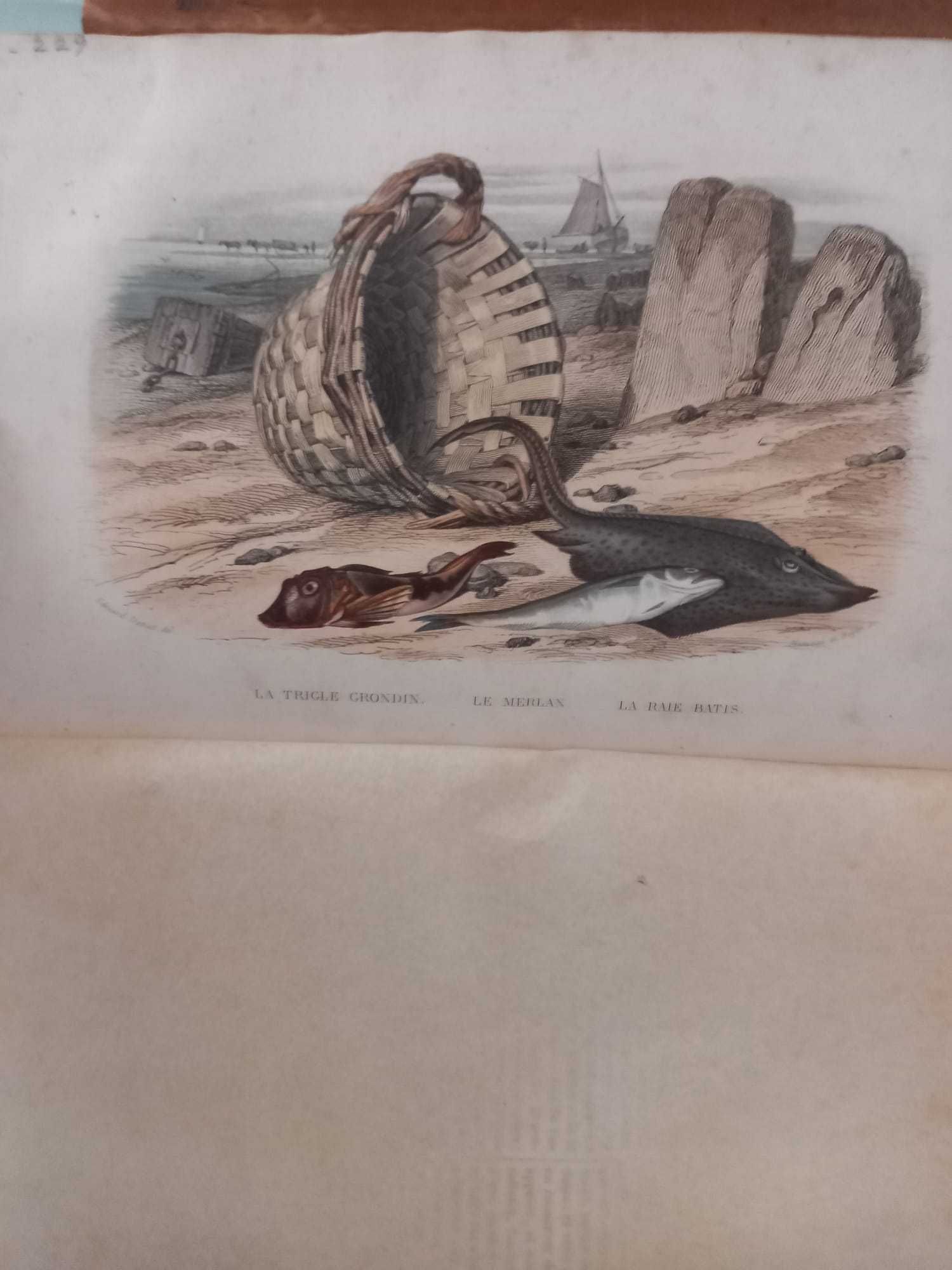 História Natural do LACEPEDE, vol I e II,  1885