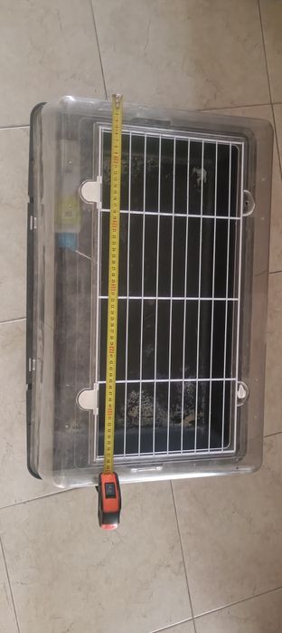 Gaiola para porquinho da Índia