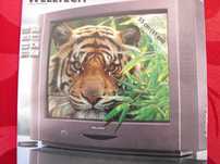 TV antiga WELLTECH 55cm
