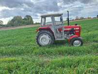 Ciągnik rolniczy Massey Ferguson 255