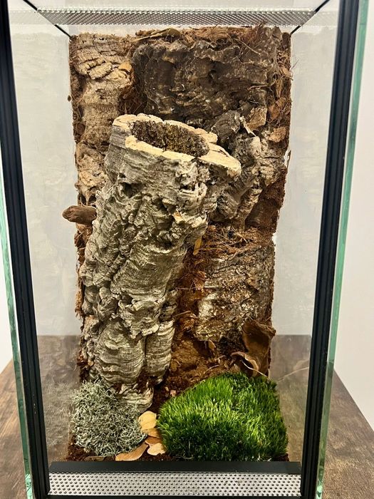 Terrarium ręcznie robione dla ptasznika
