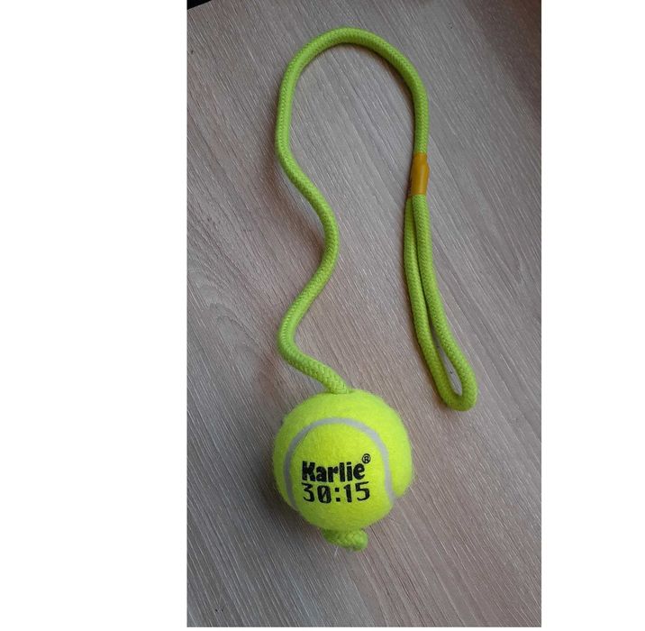 Bola com corda para cão brinquedo novo