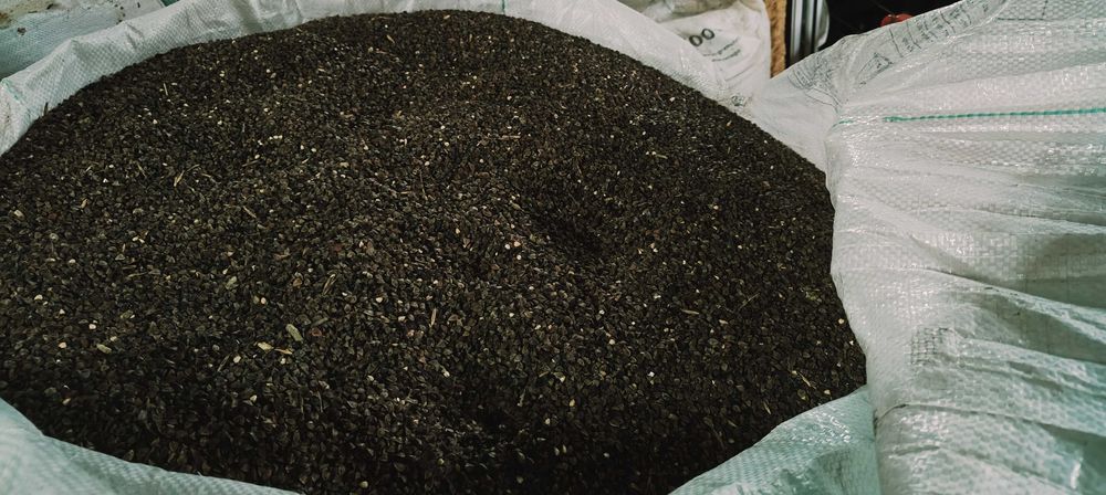 Gryka, tatarka ekologiczna z cetyfikatem