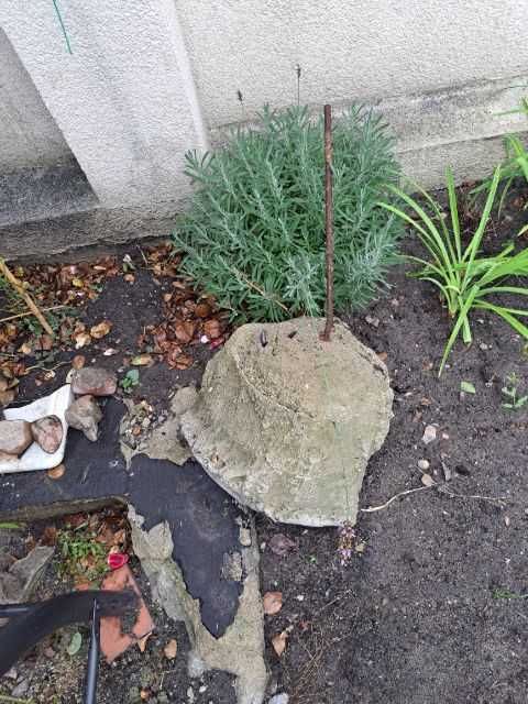 bardzo pilnie oddam za darmo kamyczki kamienie