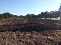 Limpeza de terrenos