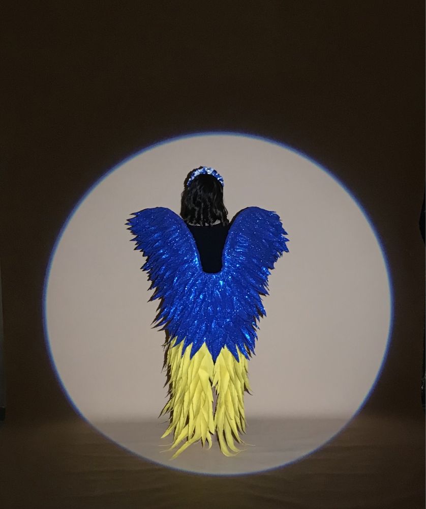 Крила ангола, Оренда ростових крил, крила жовто блакитні великі