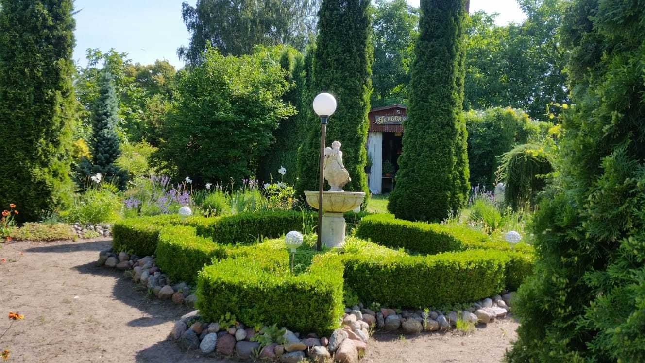 Domki nad jeziorem Ostrowo koło Przyjezierza. Oaza pod aniołem