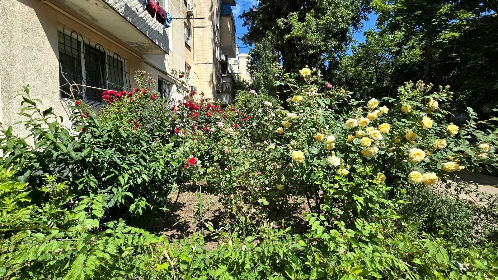 Продам 1 к 34 м2. Центр Таирова / Проспект Академика Глушко