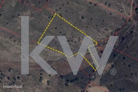 Terreno Rústico com 7420m2 sito em Murtas, Martim Longo