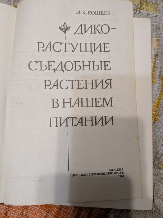 А.К. Кощеев Дикорастущие съедобные растения в нашем питании