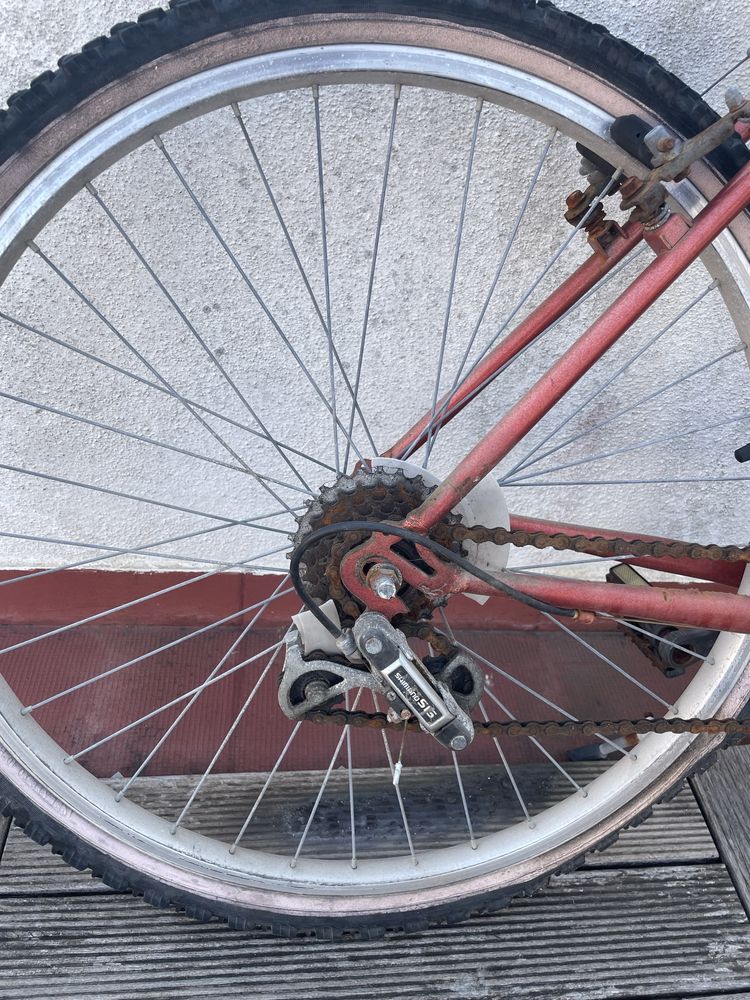 Bicicleta de adulto Esmaltina