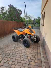 Quad dinli 300 francja homologacja