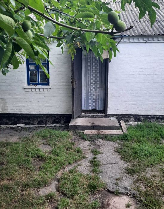 Продам будинок в селі Житні Гори