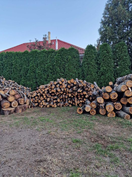 Drewno opałowe sosnowe