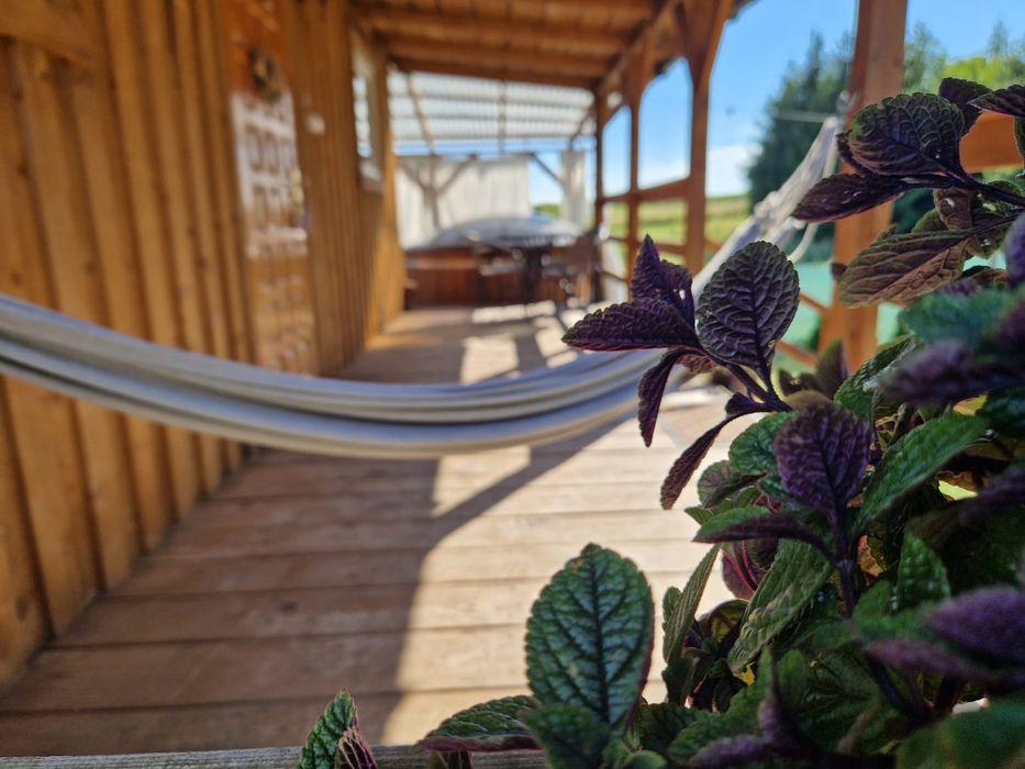 "Zaplecze Lasu" Domek całoroczny z Balią, drewniane domki jacuzzi