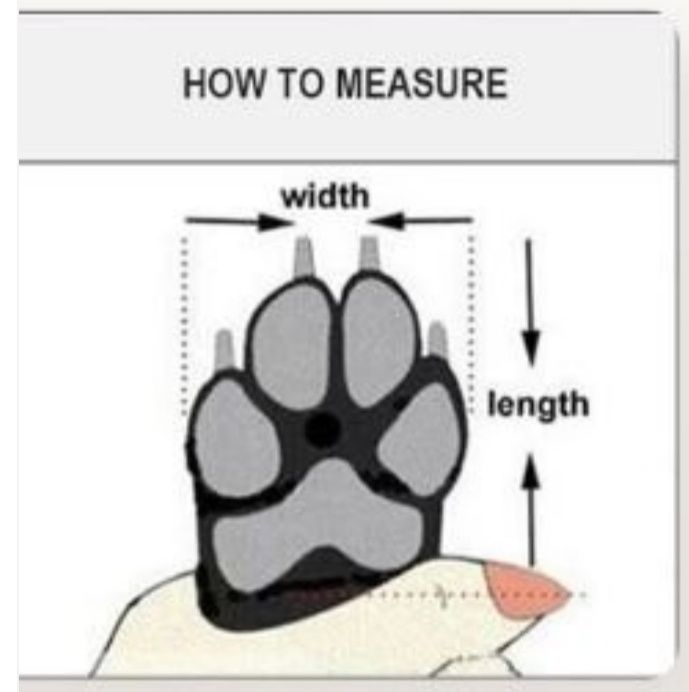 Botas Sapatos para Cão Preto Ajustável Pequeno Médio para o Inverno