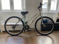 Bicicleta de senhora