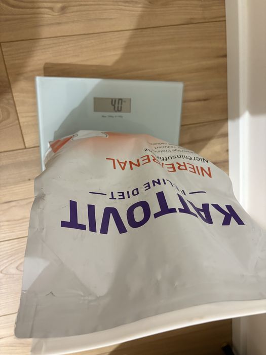 Kattovit karma sucha dla kota Renal Niere dla nerkowców 4kg