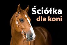 Ściółka torfowa, torfowo-wiórowa, torf - dla drobiu, koni, bydła