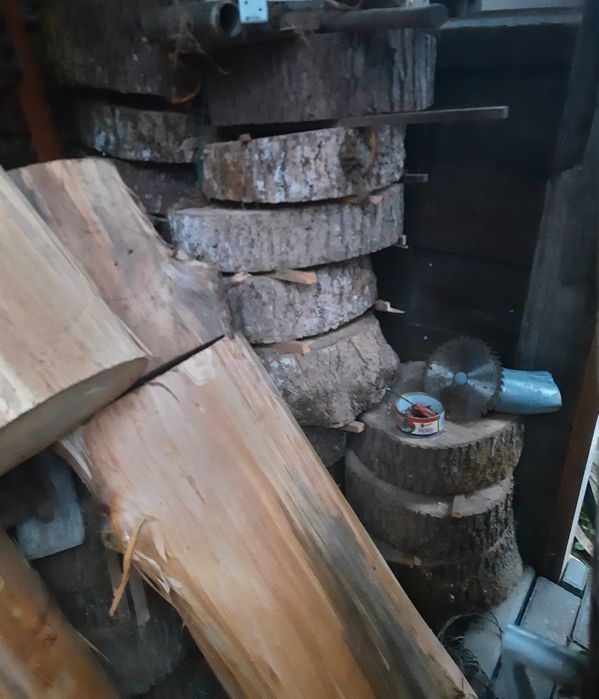 Dla rzeźbiarza hobbysty: lipa, bale, pnie lipy