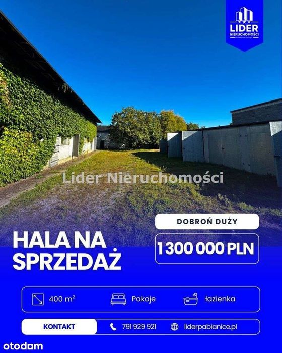 Hala, dom + budynki gospodarcze + staw -Dobroń Duży