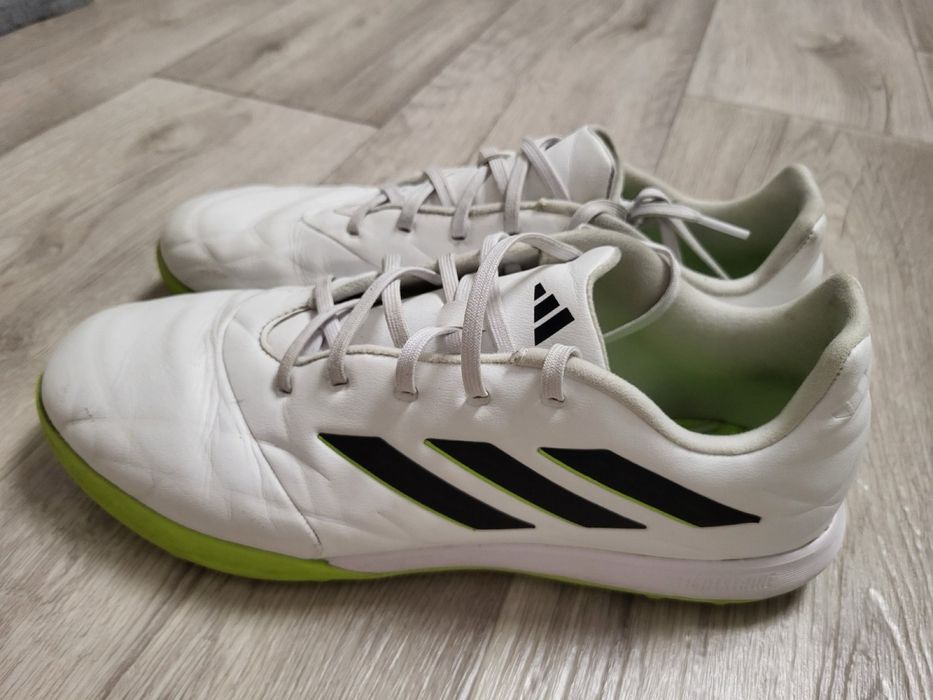 Продам гарні сороконіжки