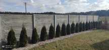Płyty betonowe ogrodzeniowe, płot, ogrodzenia betonowe - Producent
