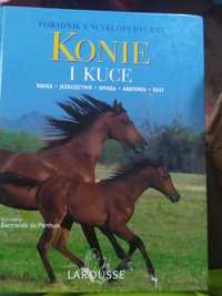 Poradnik encyklopedyczny Konie i kuce