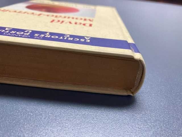 Um Amor Feliz romance antigo de David Mourão-Ferreira