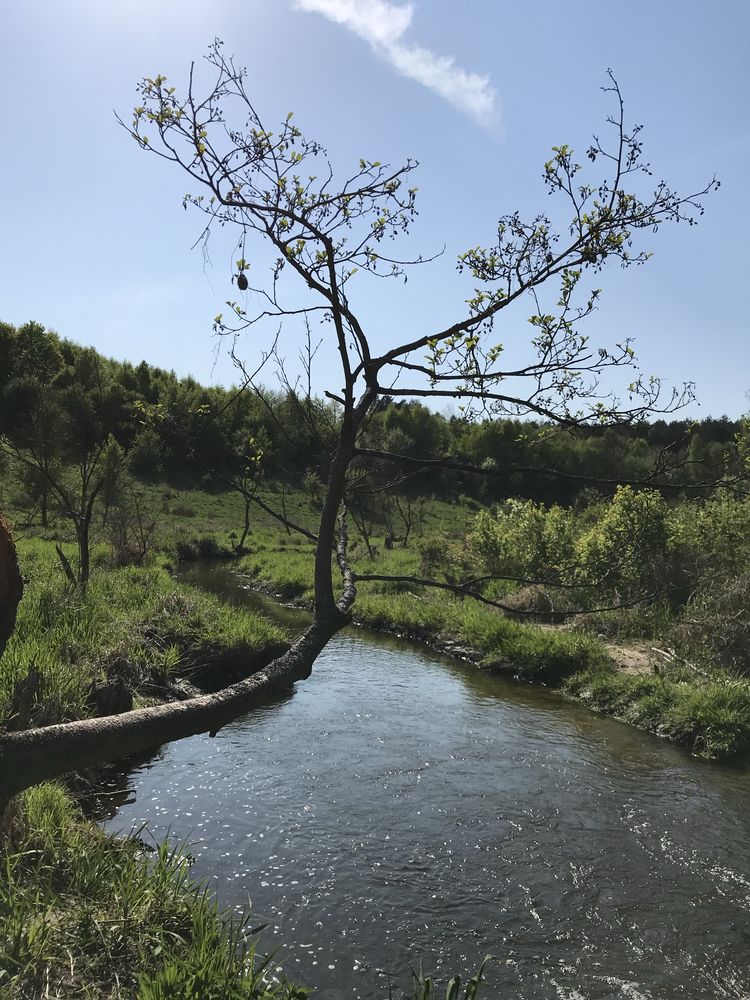 Działka inwestycyjna