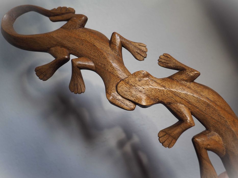 Połączone drewniane jaszczurki symbol szczęścia i dobrobytu