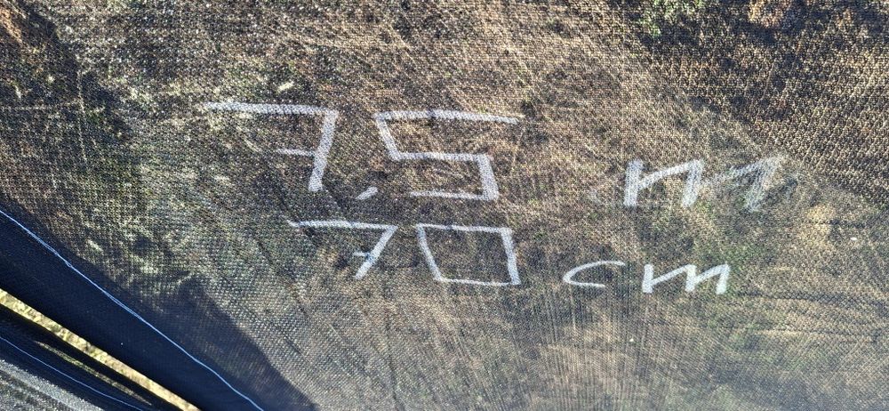 Apanha azeitona ou frutos secos