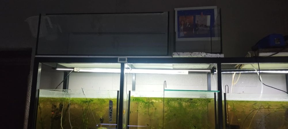 Regał razem z akwariami