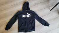 Bluza puma od 12 do 14 lat