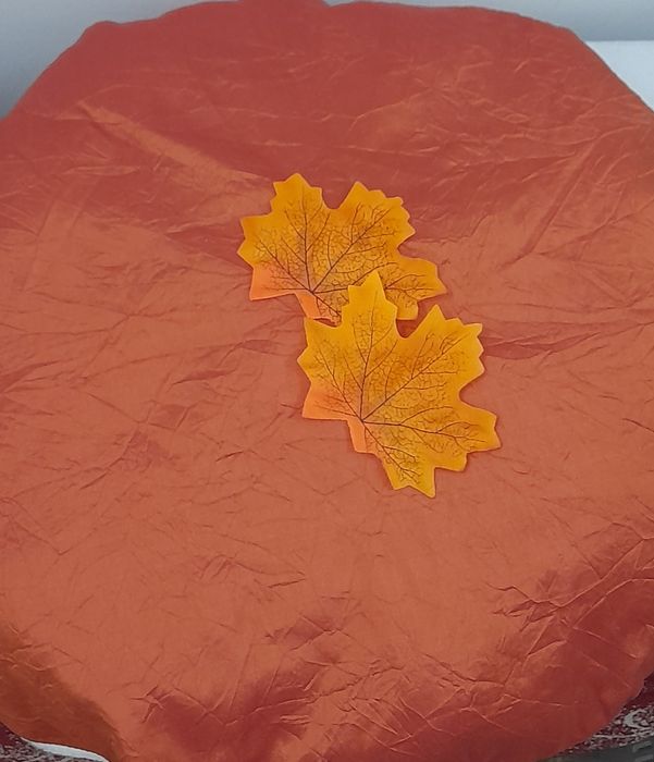 Шапка Гриб Боровик, підосичник, підберезовик. Шапка Гриба