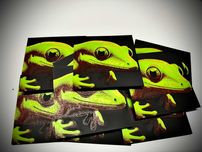 Magnes terrarystyczny 7x7 cm. Felsuma grandis Phelsuma