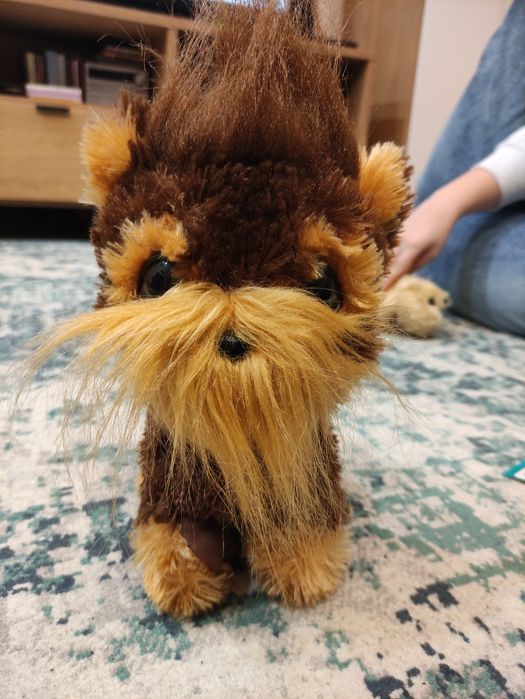 FurReal Friends kudłaty piesek Shaggy shawn