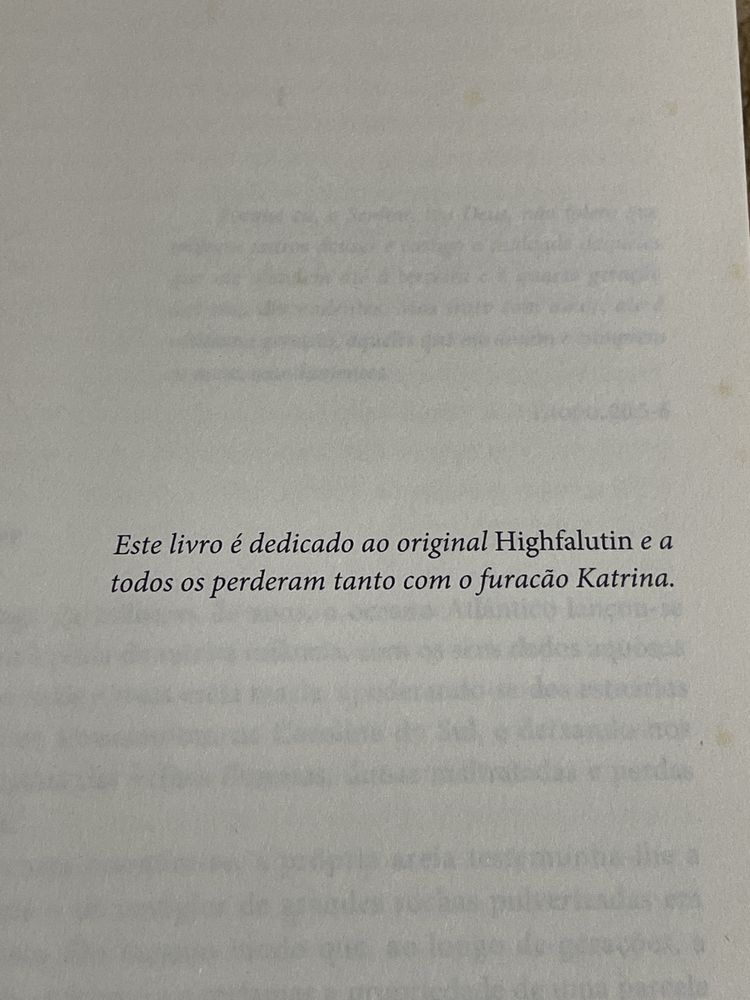 A Memória da Água - Karen White