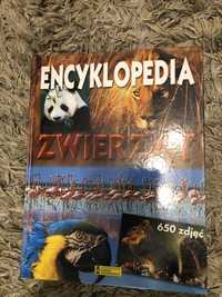 Encyklopiedia Zwierzat