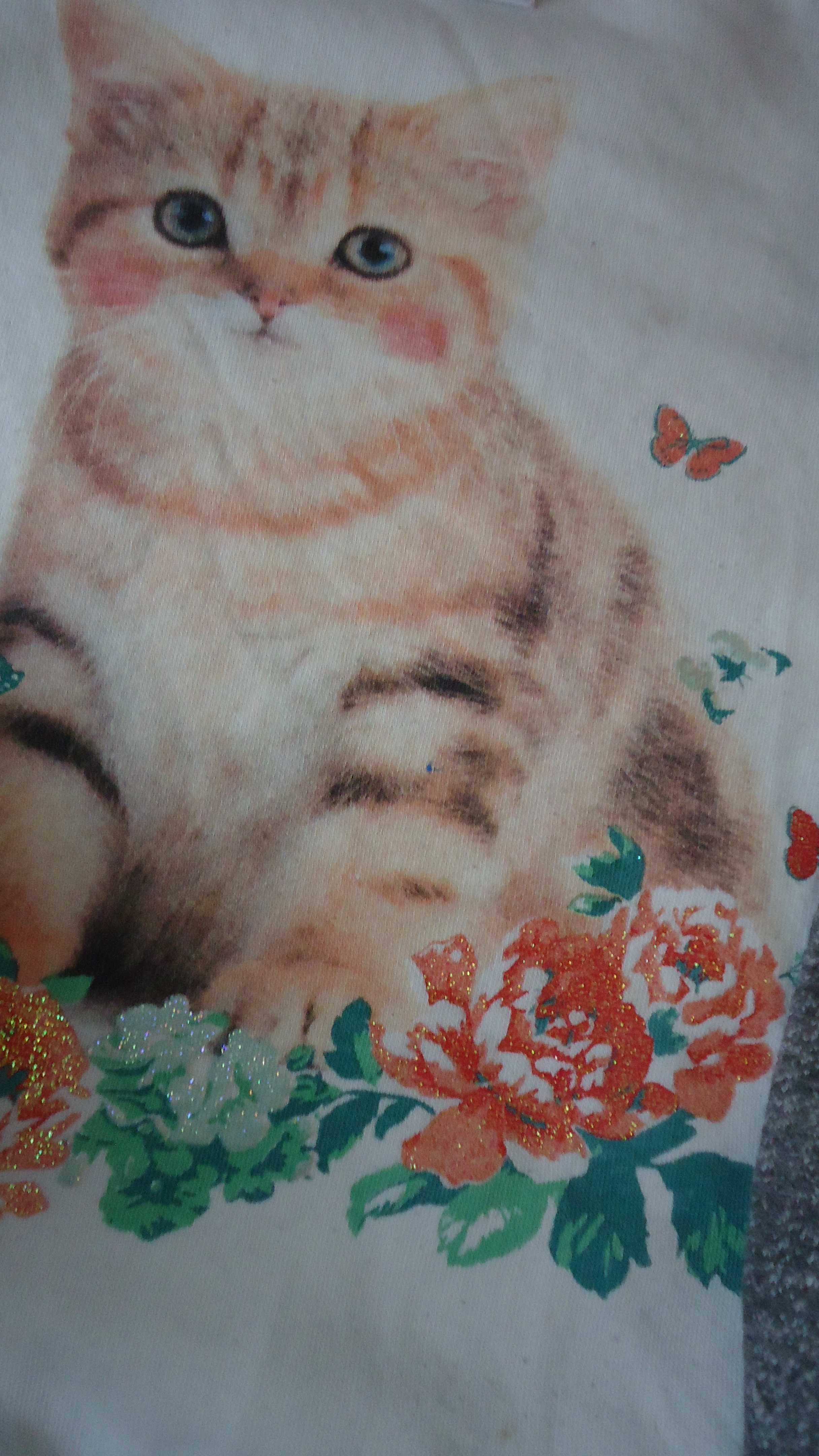 3szt/25zł r.128 C&A bluza kotek COCCODRILLO bluza RESERVED